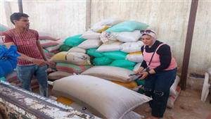 بالصور- بدء موسم توريد القمح بأول محافظة على مستوى الجمهورية في حصاد المحصول