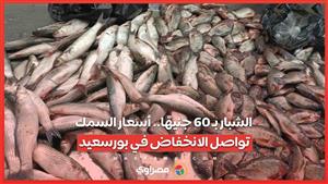 الشبار بـ 60 جنيهًا.. أسعار السمك تواصل الانخفاض في بورسعيد…