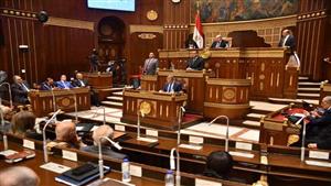 السيسي شجَّع على الالتحاق به.. أبو هشيمة يستعرض تقرير "الشيوخ" بشأن الشباب والذكاء الاصطناعي