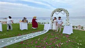 العروسان وقعا في حب شرم الشيخ.. زفاف كازاخستاني على شواطئ  جنوب سيناء  -  صور