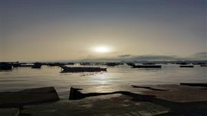  شاهد لحظة شروق شمس 25 رمضان بالإسكندرية.. لعلها ليلة القدر (فيديو وصور