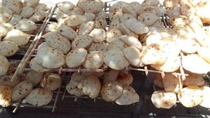 محافظ القاهرة: 22 حملة رقابية و192 محضرًا للمخابز السياحية 