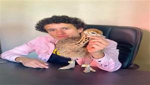 مصرع  أصغر مربي نعام بمصر في حادث سير (صور)