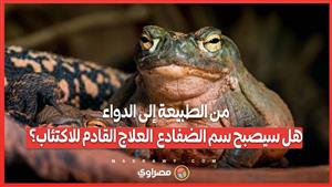 من الطبيعة إلى الدواء..هل سيصبح سم الضفادع  العلاج القادم للاكتئاب؟