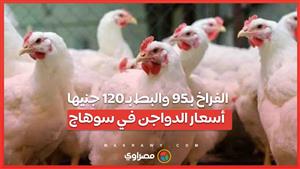الفراخ بـ95 والبط بـ 120 جنيها.. أسعار الدواجن في سوهاج…