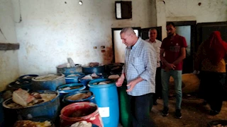 الجيزة: ضبط 6 أطنان و٥٠٠ كجم من الأسماك المملحة فاسدة