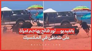 بالفيديو... ثور هائج يهاجم امرأة على شاطئ في المكسيك