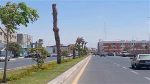 ارتفاع الأمواج ورياح محملة برمال خفيفة.. تفاصيل حالة الطقس في جنوب سيناء