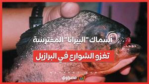 رعب في البرازيل  .. أسماك "البيرانا" المفترسة تغزو الشوارع بعد الفيضانات!