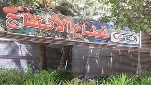 إقبال كثيف على معرض زهور الربيع بالدقي في أول أيامه -تفاصيل وصور