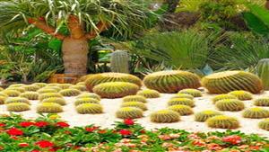 تعرف على موعد انتهاء معرض الزهور 2024