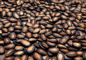 فياجرا طبيعية- تناول بذور هذه الفاكهة يوميًا