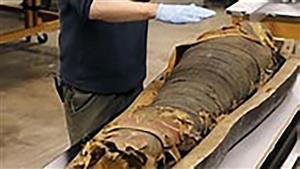 قرار النيابة بشأن مومياء مزلقان الطب البيطري في أسوان