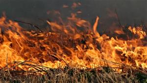 القبض على ميكانيكي أشعل النار في أرض جاره بأسوان