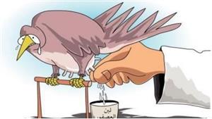 ما أصل "لبن العصفور"؟.. لن تتوقع حكايته