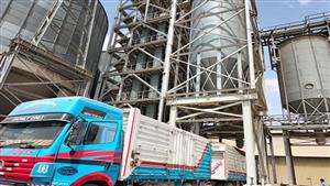 بالصور- توريد 78 ألف طن قمح لصوامع الإسكندرية في موسم الحصاد