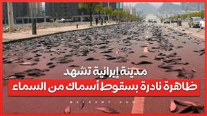بالفيديو .. مدينة إيرانية تشهد ظاهرة نادرة بسقوط أسماك من السماء