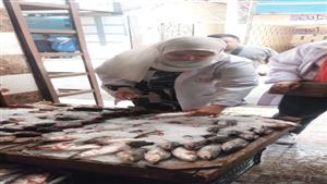 بالصور- ضبط 4 أطنان أسماك مدخنة ومجمدة مجهولة المصدر بالشرقية