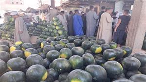 "إزاي تعرف الحمراء من القرعة".. شاهد أكبر مزاد على البطيخ في قنا