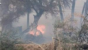 نجاة فنانة ورئيس نادي من الموت ولغز ضحية علاقة مشبوهة.. الجيزة خلال 24 ساعة