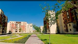 جهاز حدائق العاصمة يطرح محلات وصيدلية للبيع بالمزاد العلني