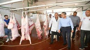 فتح 20 مجزرًا مجانًا.. هكذا استعدت محافظة الغربية لعيد الأضحى المبارك 