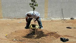 مستشار الرئيس للشؤون الزراعية: التغيرات المناخية لم تكن مفاجئة