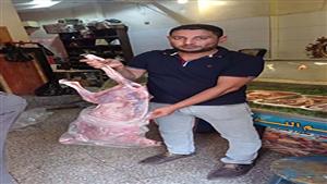 بالصور| ذبائح تثير الجدل في البحيرة قبل عيد الأضحى.. ومواطنون: "شكلها كلاب"