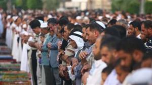 تجهيز 157 مركز شباب لإقامة صلاة عيد الأضحى المبارك بالغربية