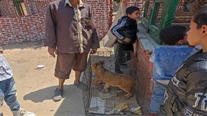 12 ألف زائر في يومين.. "البيتنج زوو ودجاج كوشن" تجذب رواد حديقة الحيوان ببني سويف