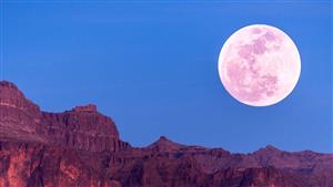 ليلة قمر الفراولة الذهبي.. لماذا سمي البدر بهذا الاسم؟