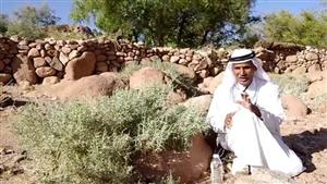 صابون طبيعي وصن بلوك.. حكاية "العجرم" أشهر بديل للمنظفات في جنوب سيناء