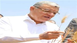 محافظ المنيا: توريد 406 آلاف طن قمح منذ بدء الموسم