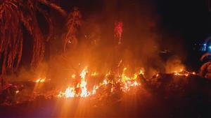  الدفع بـ3 سيارات إطفاء للسيطرة على حريق في مزرعة نخيل بالوادي الجديد