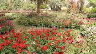 الزراعة تكشف سبب تأجيل موعد افتتاح معرض الزهور 2025 