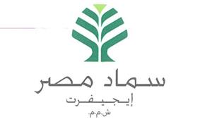 إيجيفرت تعلن تشغيل التجريبي لمصانع الشركة بعد انتظام ضغط الغاز الطبعي بالشبكة 