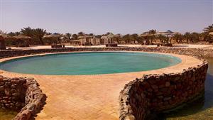 فسحة بـ 10 جنيه.. فتح واحة حمام موسى السياحية بطور سيناء بعد غلقها 4 أيام