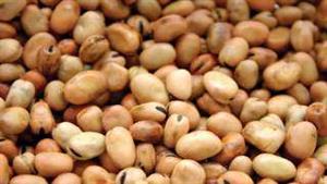 أسعار الفول وزيت عباد الشمس يتراجع اليوم الأربعاء (موقع رسمي)