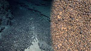 الكنوز الحرام في قاع المحيطات.. لماذا لا يجب أن نقترب منها؟