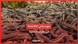 "104 ثعباناً في الملابس الداخلية .. قصة محاولة تهريب غريبة عبر الحدود الصينية