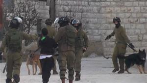  الجيش الإسرائيلي: إطلاق 10 صواريخ من لبنان باتجاه إسرائيل