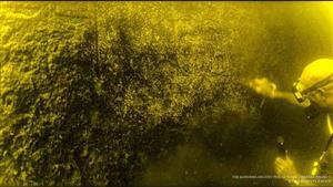 بالصور.. 33 مقبرة أثرية ونقوش صخرية غارقة.. تفاصيل آخر كشف أثري عُثر عليه في أسوان