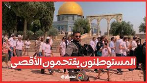 المستوطنون يواصلون استفزازاتهم: اقتحامات جديدة للمسجد الأقصى