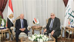 رئيس مجلس الدولة يستقبل الفريق كامل الوزير