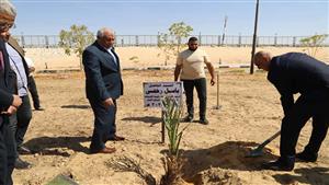 بالصور.. رئيس جهاز تنمية المشروعات المتوسطة يغرس نخلة بالوادي الجديد