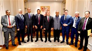 خطة لجعل مصر قلعة صناعية كبيرة.. تفاصيل استقبال وزير الصناعة والنقل رئيسَ وأعضاء "صناعة الشيوخ"