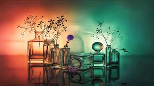 20 صورة عبقرية للحياة الصامتة.. لقطات فائزة بجوائز عالمية