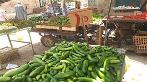 الطماطم بـ20 والبطاطس بـ25 جنيها.. تعرف على أسعار الخضراوات والفاكهة فى أسوان (فيديو وصور)