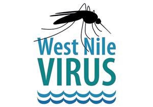 هل الطقس الحار يزيد من انتشار حمى غرب النيل؟