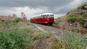 واقعة صادمة.. رجل يسقط على قضبان القطار - فيديو مرعب